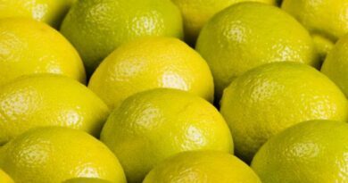 Industria de Limon