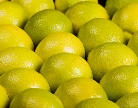 Industria de Limon