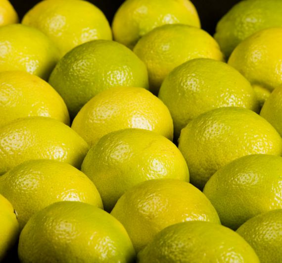 Industria de Limon